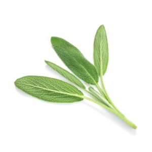 Sage