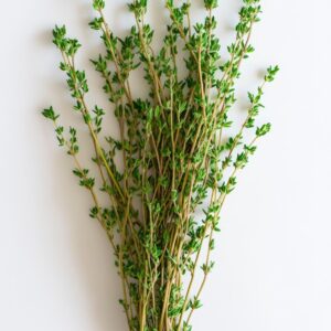 Thyme