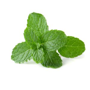 Peppermint