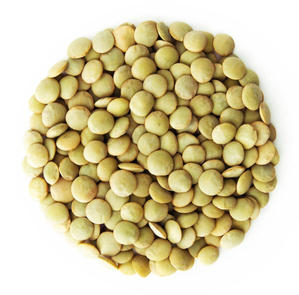 Richlea Lentils