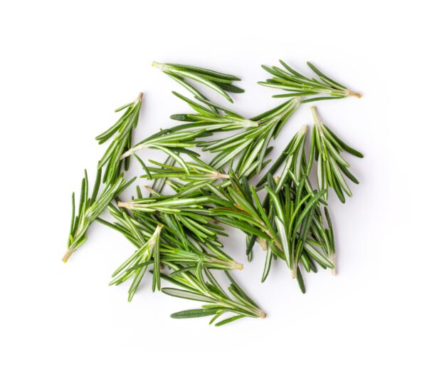 Dried Rosemary
