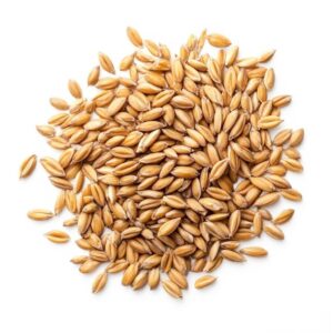 Wheat
