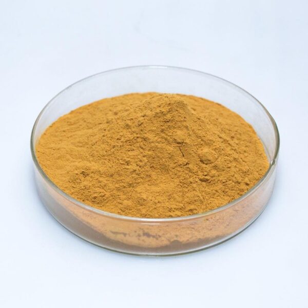 Vitamin B2 (Riboflavin)